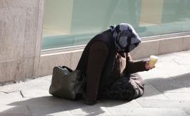  <p>Просяците от Дреновец &ndash; трансформирало ли се е нещо</p> 