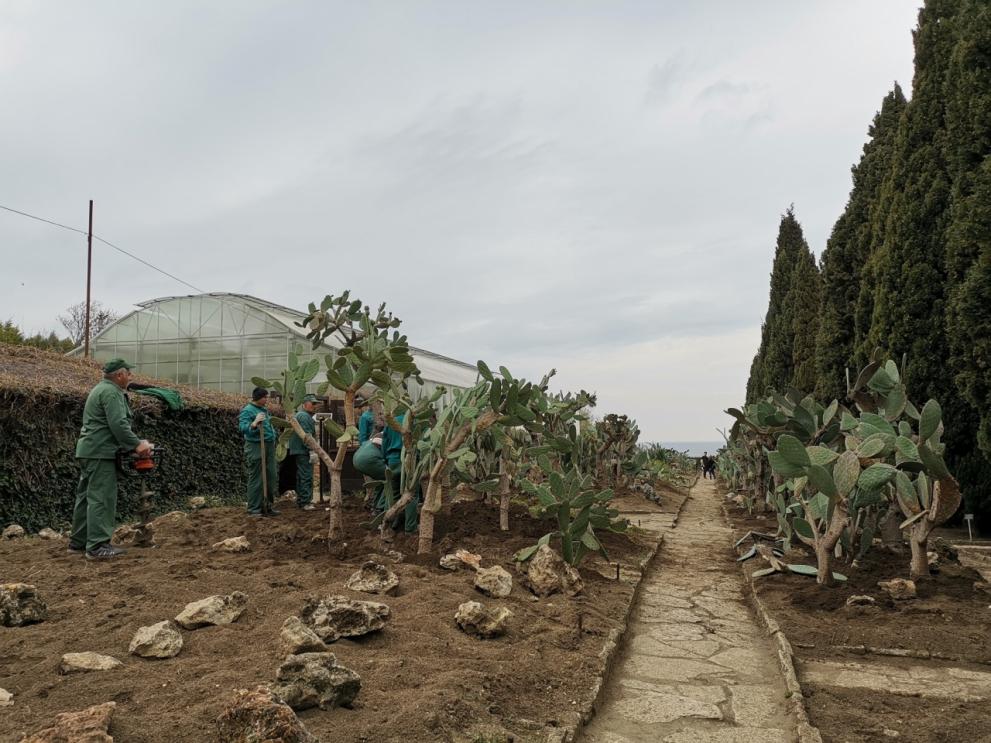 Изнасят кактусите в Ботаническа градина Балчик