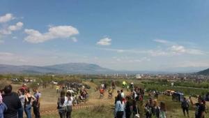 средства Тони Костов