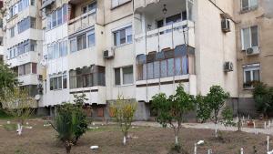 Жилищните блокове в Свищов са за пример с почистеното си