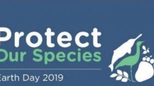 Бургас Ден на земята