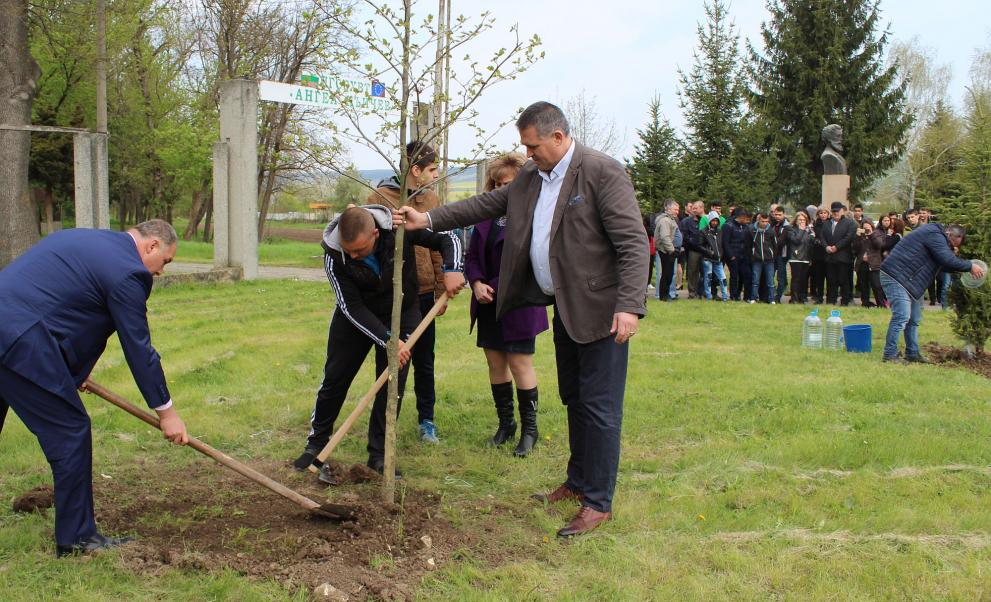 В Деня на Земята засадиха два чинара и бор в двора на Селскостопанската гимназия