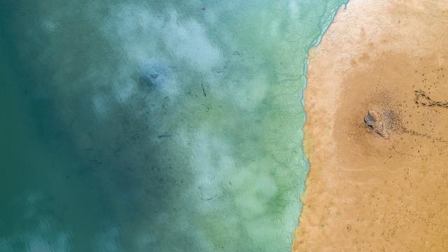 В Северно море откриха потънал праисторически свят