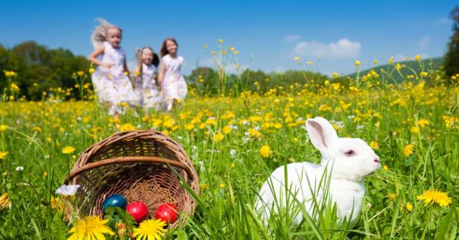 Великденският заек е един от най разпространените и познати символи на