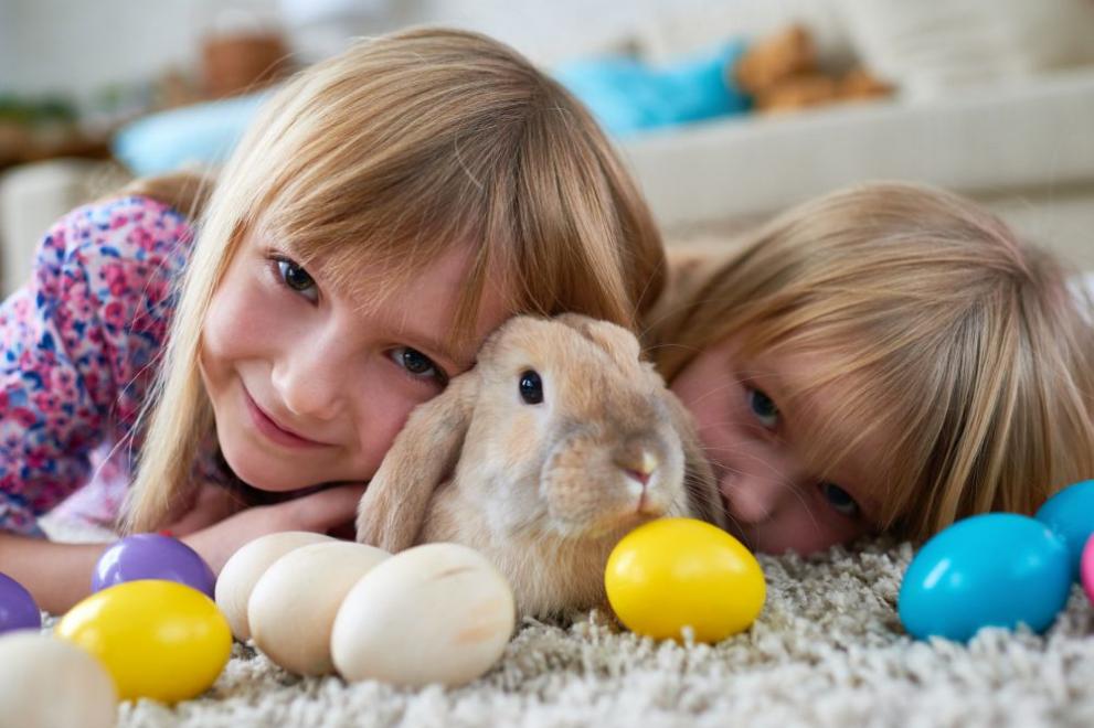  великденски заек 