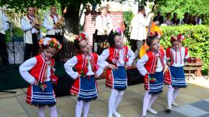 Видин деца концерт