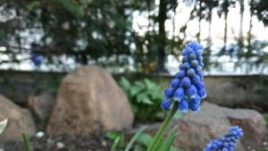 времето пролет