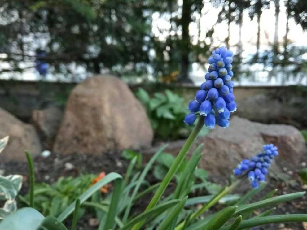 времето пролет