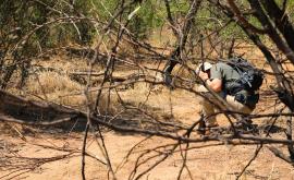  Колко рисковани са пешеходните сафарита в Африка 