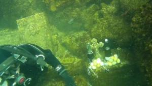 Великден в морските дълбини