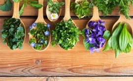  <p>Какви потребни свойства има&nbsp;<strong>великденчето</strong></p> 