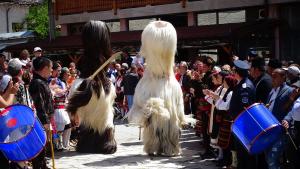 Кукери в село Елешница гониха злите сили