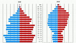 Кюстендил НСИ