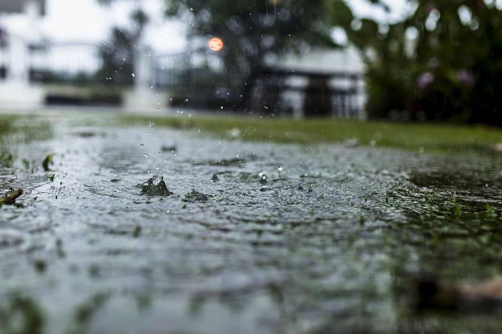 Най-много дъжд е паднал в Лом и Велико Търново - България - DarikNews.bg