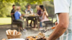 печени меса барбекю