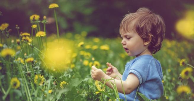 Днес ще преобладава слънчево време след обяд над източните и