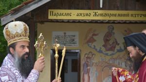 Видинският митрополит Даниил