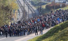  <p>ООН: Унгария лишава мигранти от храна</p> 