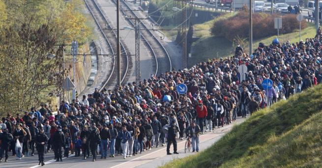 Свят ООН Унгария лишава мигранти от храна След като молбата