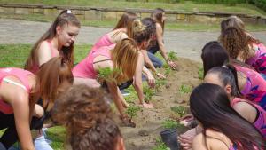 Царица Роза