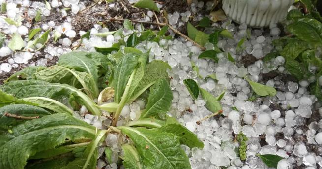 По разпореждане на министър Десислава Танева са сформирани комисии за