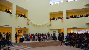 СУ Железник