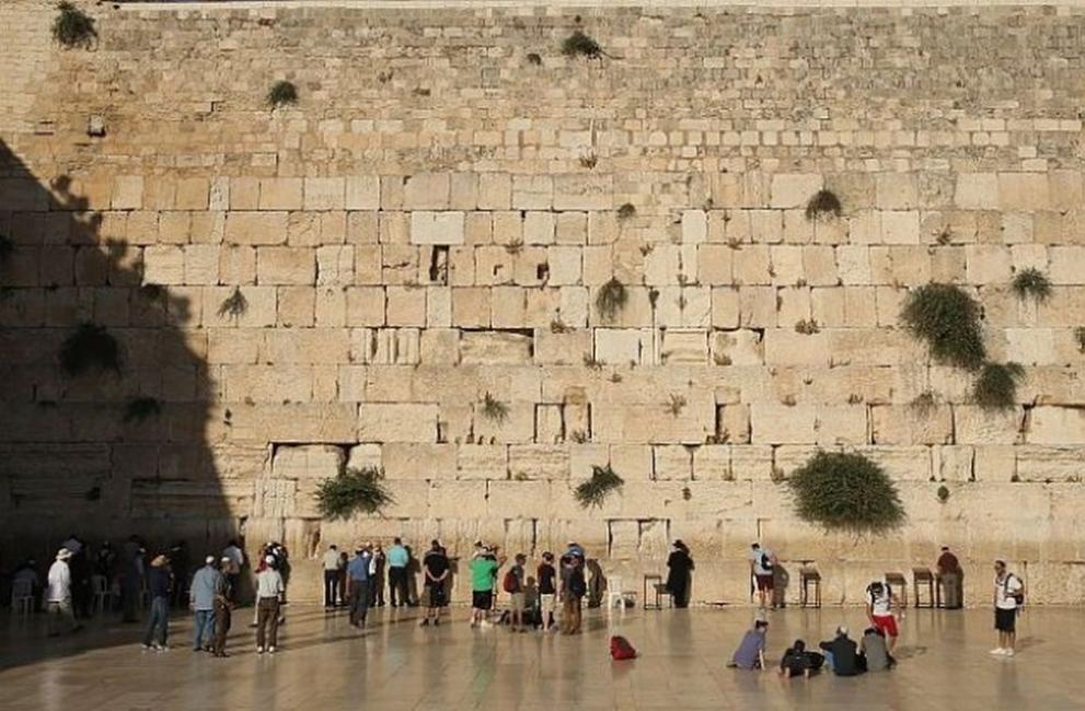  Стената на рева 