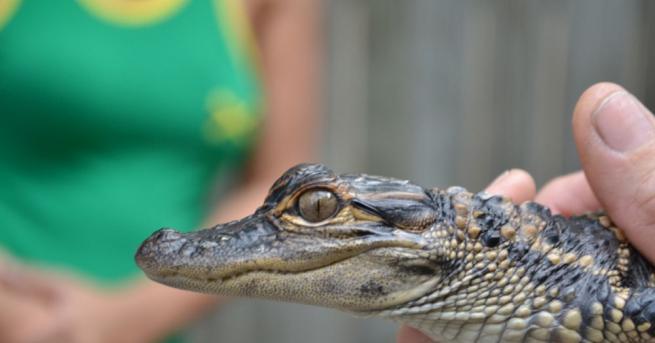 Пътничка в автомобил спрян за рутинна проверка от полицията в