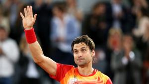 Давид Ферер