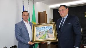 kmet braila