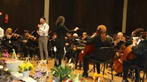 Симфониета Видин училище