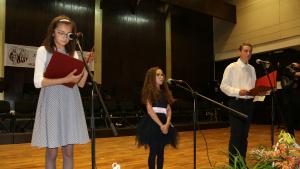 празник Видин