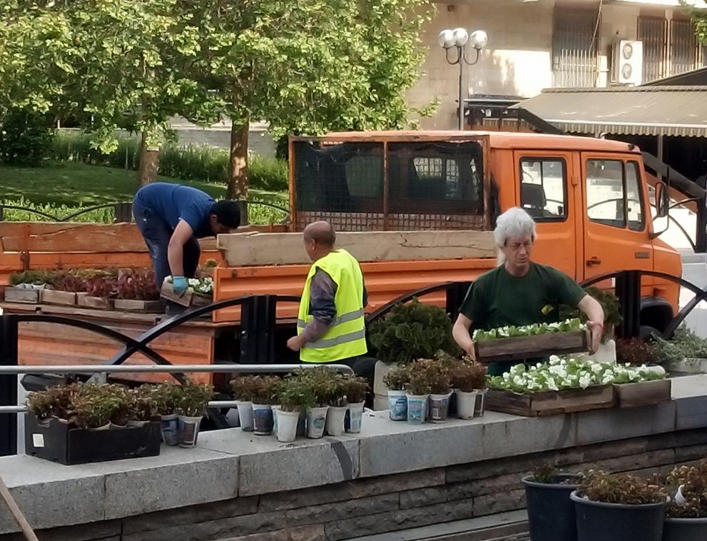 Над 30 000 цветя ще украсят Горна Оряховица за празника на града