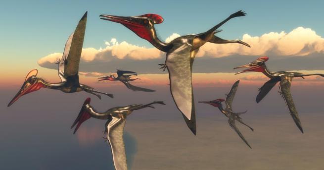 Два изключително добре запазени фосила на птерозаври разкриха че летящите