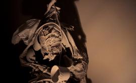  <p>Докоснете се до<strong> галактическата любов</strong> и <strong>невидимото за очите</strong> с тези спектакли</p> 