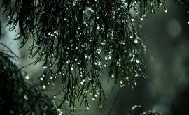  И през днешния ден заплаха от градушки, сериозна конюнктура в Свищов 