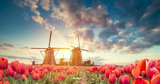 Холандия в момента е най добрият вариант за следване в чужбина
