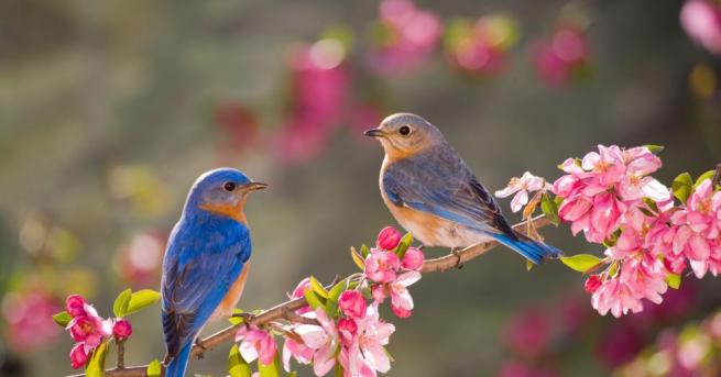 Днес облачността над по голямата част от страната ще е предимно