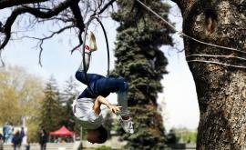  Циркът ще забавлява децата в София. 