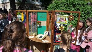 фестивал Видин