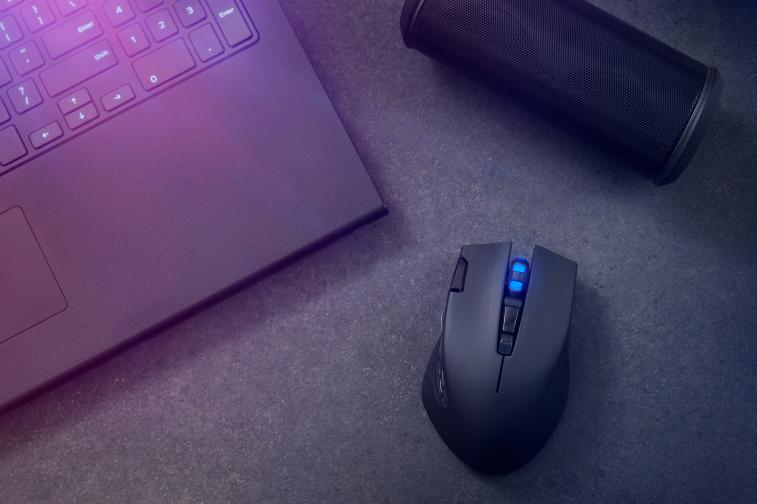 Wireless Gaming Mouse Прекрасен подарък за някой ваш непосредствен, който е разпален геймър. Моделите на пазара се отличават с дълъг живот на батерията, ергономични са, също по този начин имат и голям брой настройки за цялостна точност. Wireless Gaming Mouse Прекрасен подарък за някой ваш непосредствен, който е разпален геймър. Моделите на пазара се отличават с дълъг живот на батерията, ергономични са, също по този начин имат и голям брой настройки за цялостна точност.