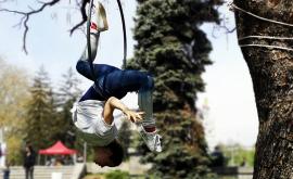  Социален цирк в България - какво съставлява 