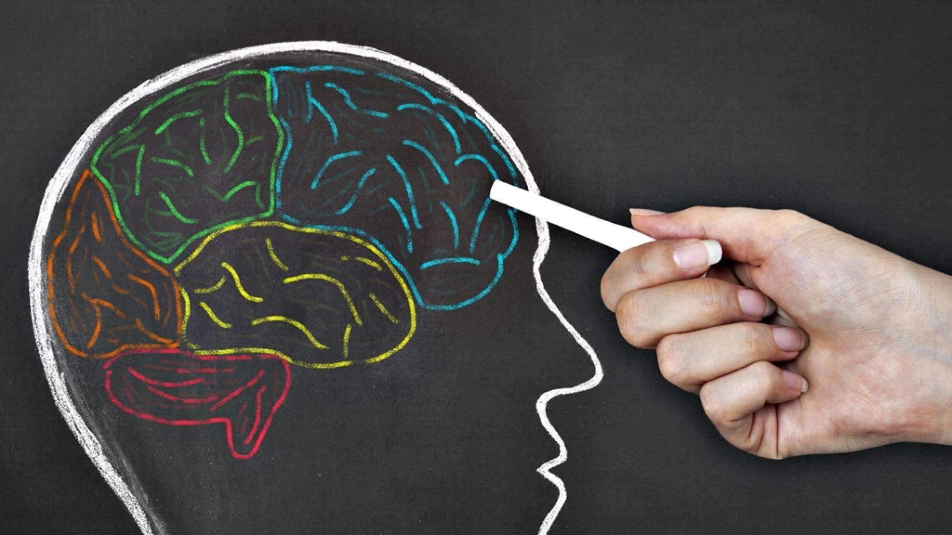 Митове за мозъка и ученето, на които сляпо вярваме