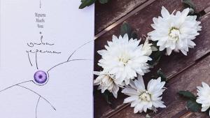 Галерия Видима