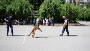 полицейско куче