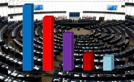  <p>ГЕРБ печели евроизборите, Българска социалистическа партия - втора</p> 