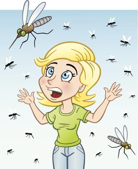 <p align="left"><strong>Женските комари</strong></p>

<p align="left">Женските комари имат изострено хоботче, за да смучат кръв, а мъжките нямат. Всъщност причината да смучат кръв не е за да се нахранят, а за да осигурят протеин за яйцата им.</p>