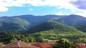 Хората от село Црънча губят съдебната битка за гората