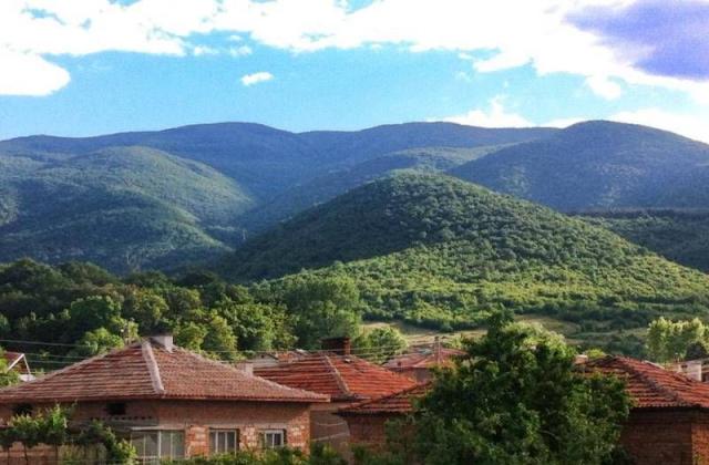 Хората от село Црънча губят съдебната битка за гората