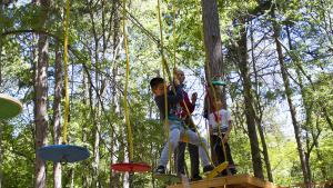 спорт и забавления